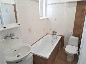 Prodej bytu 1+1, Teplice, Masarykova třída, 47 m2