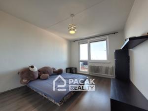 Prodej bytu 1+1, Přerov, Velká Dlážka, 32 m2