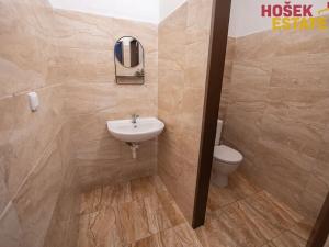 Prodej zemědělské usedlosti, Dlouhá Třebová, Na Rybníku, 270 m2