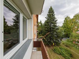 Pronájem bytu 3+1, Olomouc, Dělnická, 75 m2