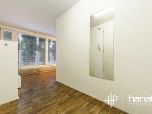 Pronájem bytu 1+kk, Šternberk, Labutí, 31 m2