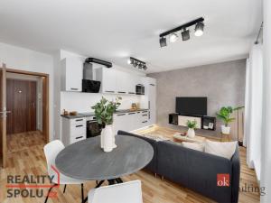 Pronájem bytu 1+kk, Praha - Kyje, Davidovičova, 31 m2