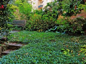 Prodej kanceláře, Znojmo, Havlíčkova, 537 m2