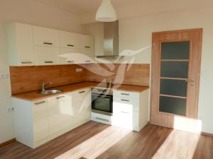 Pronájem bytu 1+kk, Plzeň, U Velkého rybníka, 34 m2