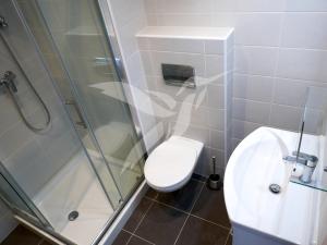 Pronájem bytu 1+kk, Plzeň, U Velkého rybníka, 34 m2