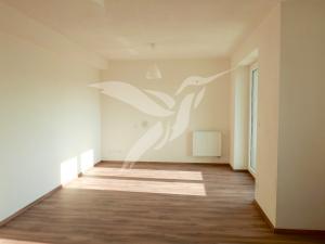 Pronájem bytu 1+kk, Plzeň, U Velkého rybníka, 34 m2