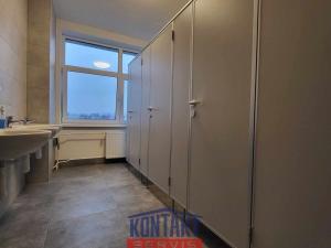 Pronájem bytu 1+kk, České Budějovice, U Smaltovny, 18 m2