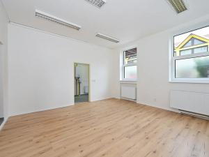 Pronájem obchodního prostoru, Brno, Horova, 132 m2