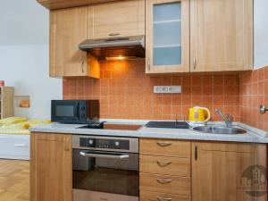 Pronájem bytu 1+kk, Praha - Nusle, Na Jezerce, 30 m2