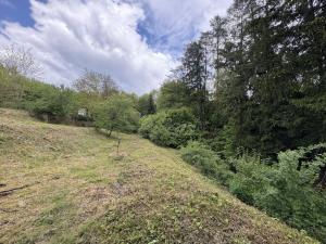 Prodej rodinného domu, Úžice, 200 m2