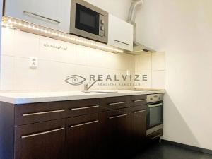 Pronájem bytu 1+kk, České Budějovice, Suchovrbenské nám., 49 m2