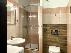 Pronájem bytu 1+kk, České Budějovice, Suchovrbenské nám., 49 m2