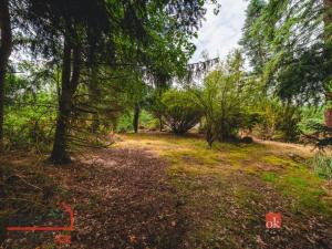 Prodej chaty, Malá Hraštice, 20 m2
