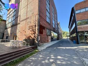 Pronájem obchodního prostoru, Ostrava, Vítkovická, 503 m2