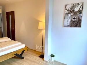 Pronájem bytu 2+kk, Praha - Žižkov, Olgy Havlové, 52 m2