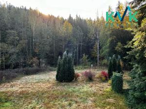 Prodej chalupy, Rotava, Nejdecká, 120 m2