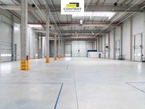 Pronájem výrobních prostor, Paskov, U Terminálu, 6000 m2