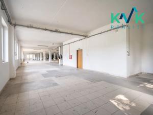 Prodej výrobních prostor, Nejdek, Karlovarská, 3135 m2