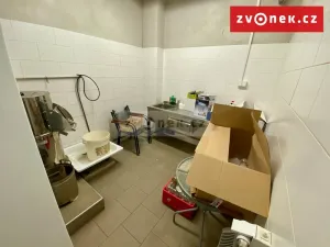 Prodej obchodního prostoru, Holešov, Novosady, 500 m2