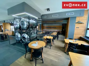 Prodej obchodního prostoru, Holešov, Novosady, 500 m2