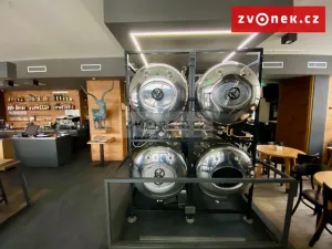 Prodej obchodního prostoru, Holešov, Novosady, 500 m2