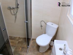 Prodej rodinného domu, Potůčky, 165 m2