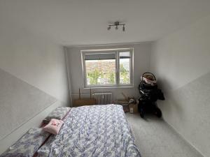 Pronájem bytu 3+1, Hradec Králové, třída Edvarda Beneše, 88 m2