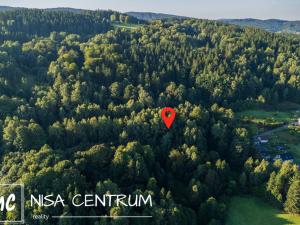 Prodej lesa, Nová Ves nad Nisou, 5031 m2