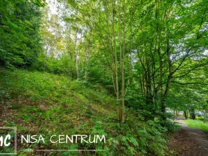 Prodej lesa, Jablonec nad Nisou - Jablonecké Paseky, 5031 m2