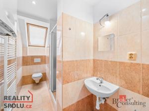 Pronájem bytu 1+kk, Rokycany, 54 m2