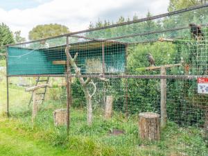 Prodej rodinného domu, Věšín - Buková, 80 m2