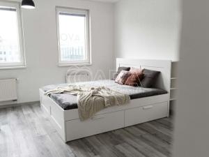 Pronájem bytu 1+kk, Ostrava - Moravská Ostrava, Jantarová, 40 m2