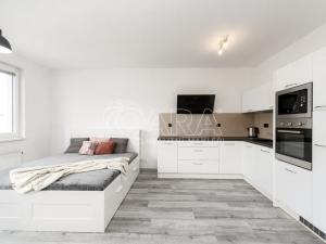 Pronájem bytu 1+kk, Ostrava - Moravská Ostrava, Jantarová, 40 m2