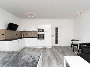 Pronájem bytu 1+kk, Ostrava - Moravská Ostrava, Jantarová, 40 m2