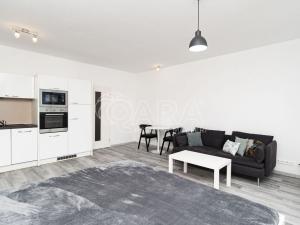 Pronájem bytu 1+kk, Ostrava - Moravská Ostrava, Jantarová, 40 m2