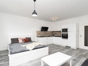 Pronájem bytu 1+kk, Ostrava - Moravská Ostrava, Jantarová, 40 m2