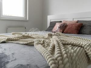 Pronájem bytu 1+kk, Ostrava - Moravská Ostrava, Jantarová, 40 m2