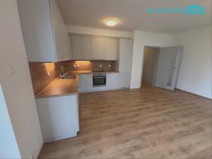 Prodej bytu 2+kk, Heřmanova Huť, U Pondu, 60 m2