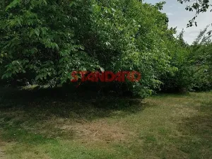 Prodej chaty, Dobřany, 54 m2