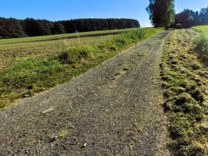 Prodej pozemku pro bydlení, Petrovice u Karviné - Dolní Marklovice, 1500 m2