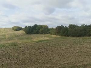 Prodej pozemku pro bydlení, Bohdalice-Pavlovice, 3936 m2