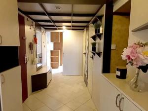 Prodej bytu 2+1, Brno, Kunštátská, 62 m2