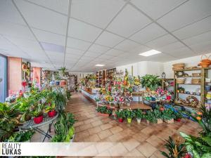 Pronájem obchodního prostoru, Ostrava, 28. října, 113 m2
