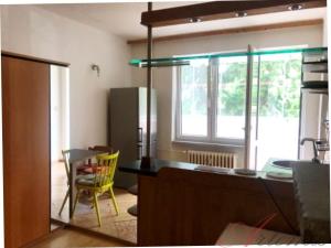 Pronájem bytu 1+kk, Ostrava - Poruba, Panelová, 25 m2