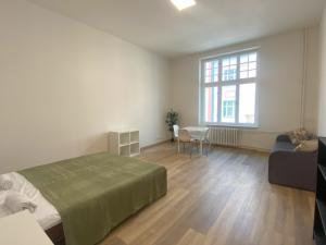 Prodej bytu 1+1, Karlovy Vary, Koptova, 47 m2