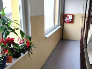 Prodej bytu 1+kk, Most, Komořanská, 33 m2