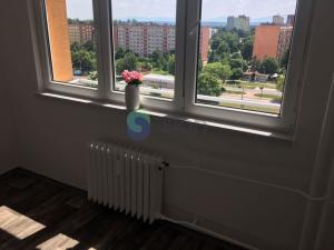 Pronájem bytu 1+1, Ostrava - Hrabůvka, Dr. Martínka, 37 m2