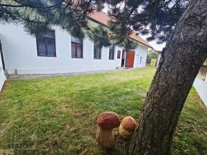 Prodej rodinného domu, Březejc, 100 m2