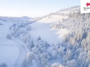 Prodej ubytování, Holčovice - Jelení, 298 m2