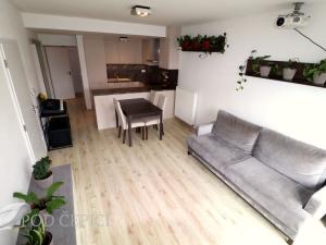 Pronájem bytu 2+kk, Zastávka, 1. máje, 64 m2